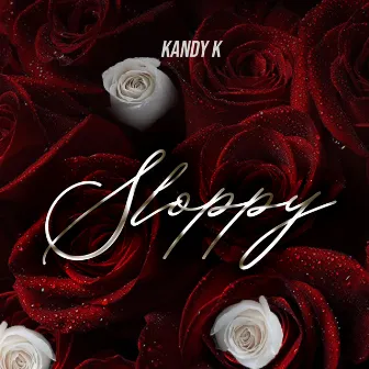 Sloppy by Kandy K