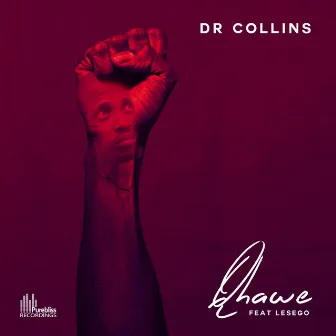 Qhawe by DR Collins