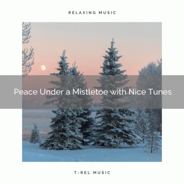 Peace Under a Mistletoe with Nice Tunes