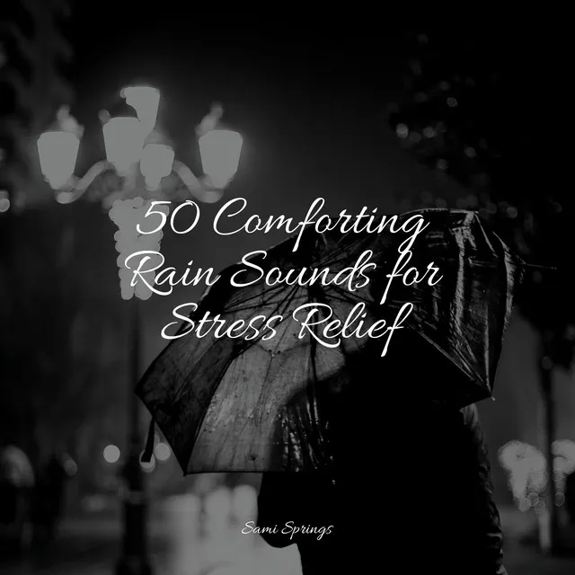 50 Comforting Rain Sounds for Stress Relief