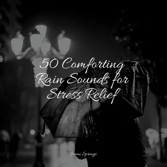 50 Comforting Rain Sounds for Stress Relief by Lluvia PQ