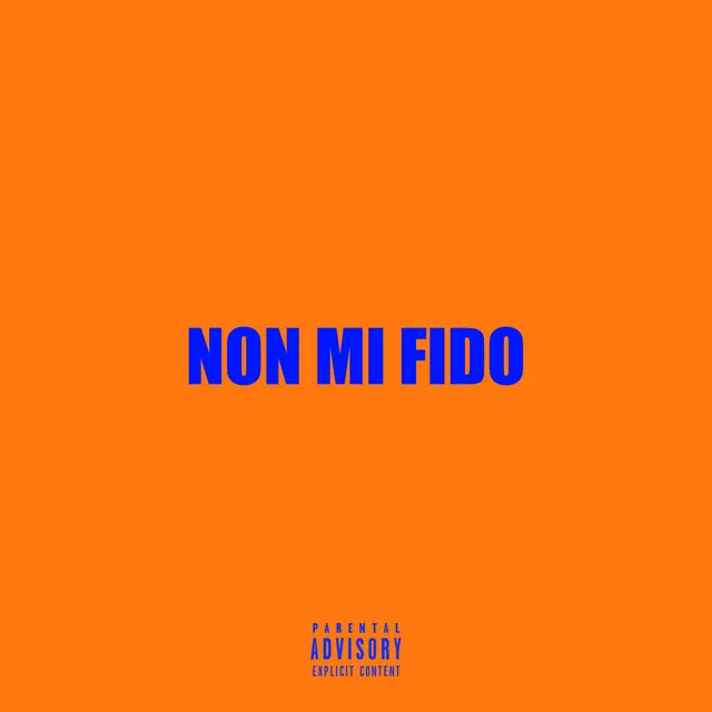 Non mi fido