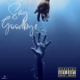 Say Goodbye by Wahima kakkar