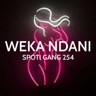 Weka Ndani by Spoti Gang 254