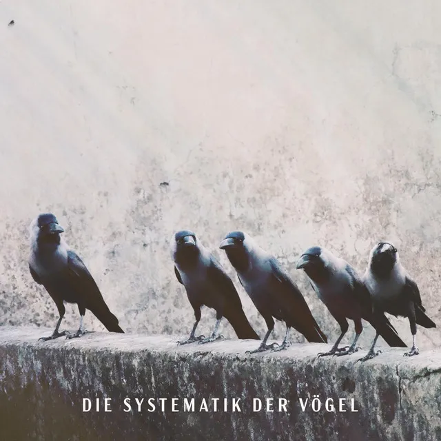 Die Systematik der Vögel