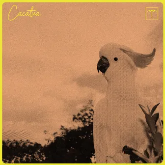 Cacatua by Alt Control