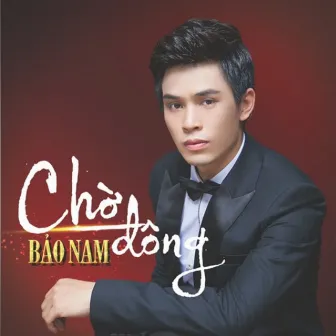 Chờ Đông by Bảo Nam