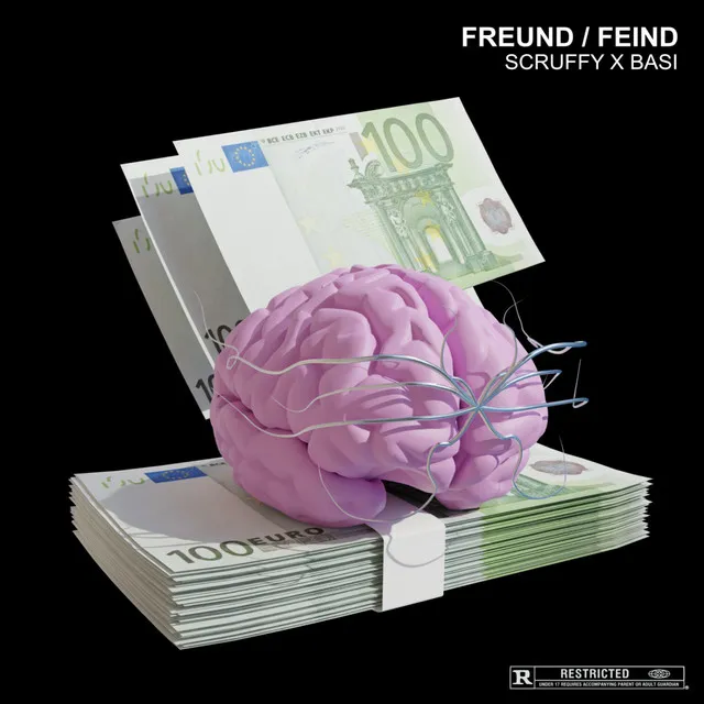 Freund / Feind