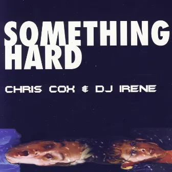 Something Hard by DJ Irene