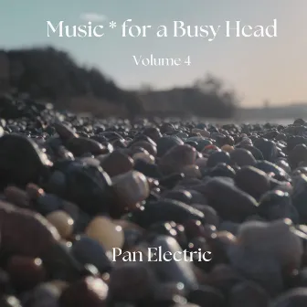 Music*for a Busy Head Volume 4 by Pan Electric