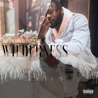 Welcome to the Wilderness by D'Meetri