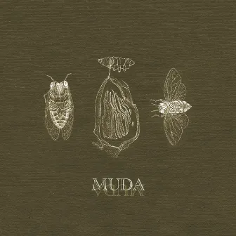 Muda by Nils Ostendorf