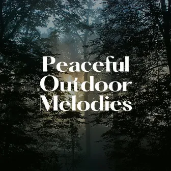 Peaceful Outdoor Melodies by Memorable