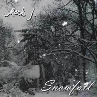 Snowfall by Mark J