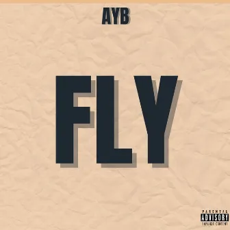 FLY by AYB