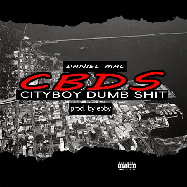 City Boy Dumb Shit