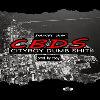 City Boy Dumb Shit by Daniel Mac