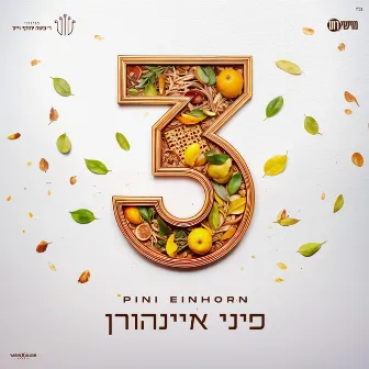 3 by Pini Einhorn