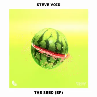 The Seed EP by Steve Void