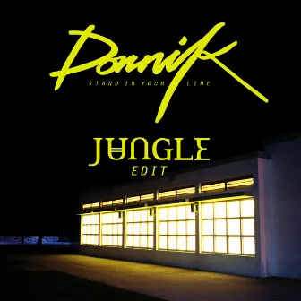 Stand In Your Line (Jungle’s Edit) by Dornik