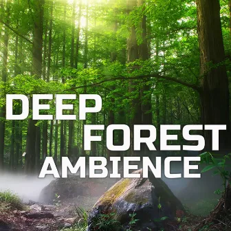 Deep Forest Ambience by Mother Nature Sounds