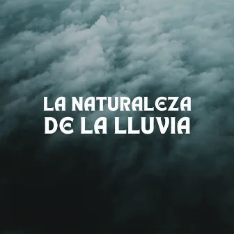 La Naturaleza De La Lluvia by Grabadora Lluvia