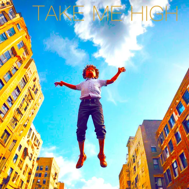 Take Me High