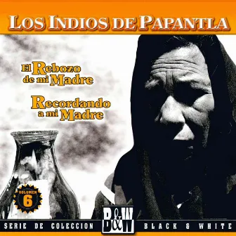 El Rebozo de Mi Madre, Vol. 6 by Los Indios De Papantla