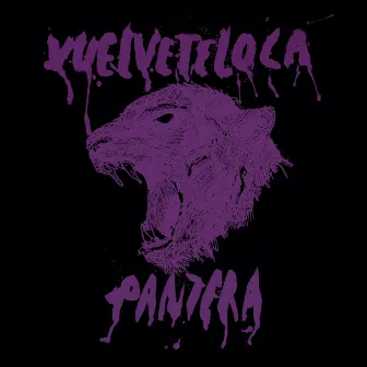 Pantera by Vuelveteloca