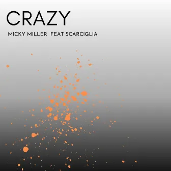 Crazy by Micky Miller