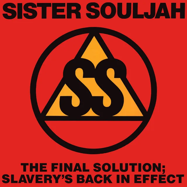 The Final Solution: Slavery's Back In Effect - Instrumental