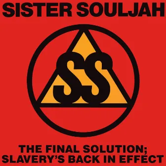 The Final Solution: Slavery's Back In Effect by Sister Souljah