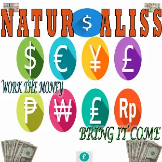 Work the Money Bring It Come by Naturaliss