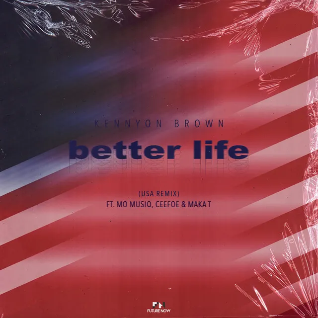 Better Life - USA Remix