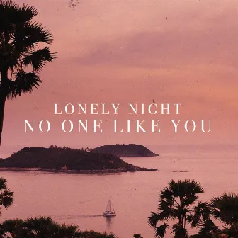 No One Like You (Remixes) by Unknown Artist