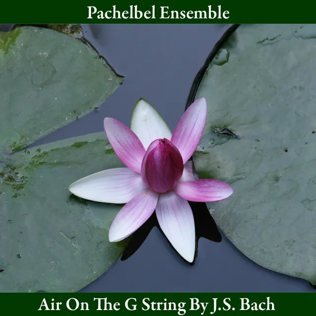 Air On the G String, from Orchestral Suite in D Major, BWV 1068