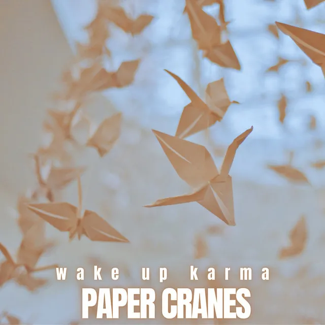 Paper Cranes