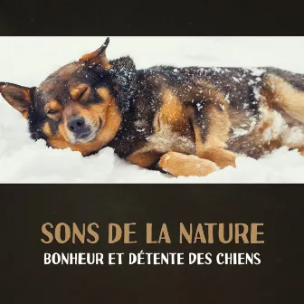 Sons de la nature - Bonheur et détente des chiens, Thérapie d'animaux de compagnie, Détente canine, Sommeil réparateur by Apaisante Nature Musique Oasis