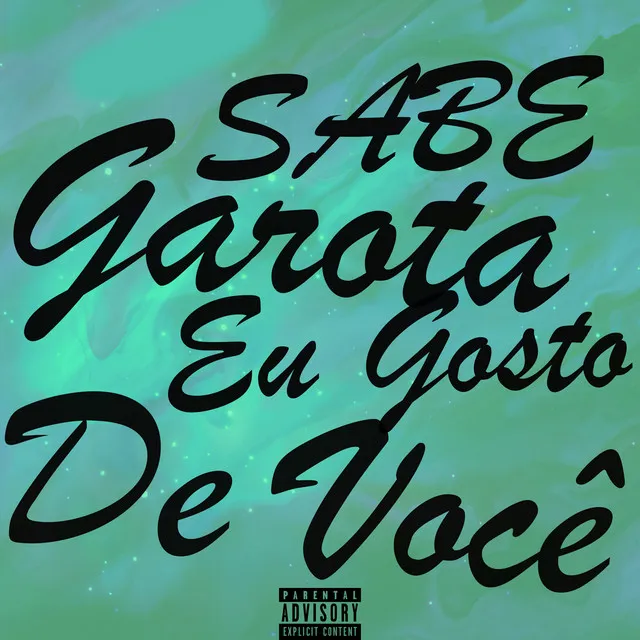 Sabe Garota Eu Gosto de Você (Speed Plug)