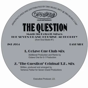 The Question (Made In Detroit Mixes) by Underground Resistance