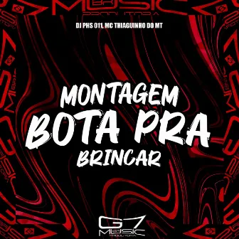 Montagem Bota pra Brinca by DJ PHS 011