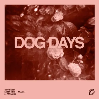 Dog Days by Contender