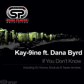 If You Don't Know by Kay-9ine