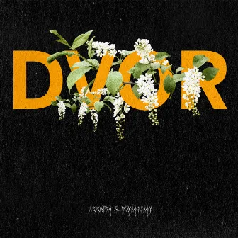 DVOR by ZAVARIVAY