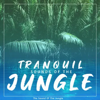 Tranquil Sounds of the Jungle by The Sound Of The Jungle