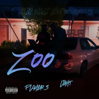 Zoo by Player 3