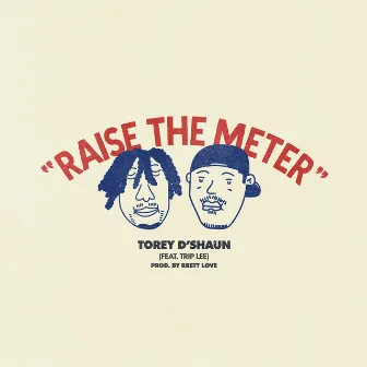 Raise the Meter by Torey D'Shaun