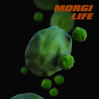 Life by Morgi