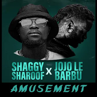 Amusement by Shaggy Sharoof