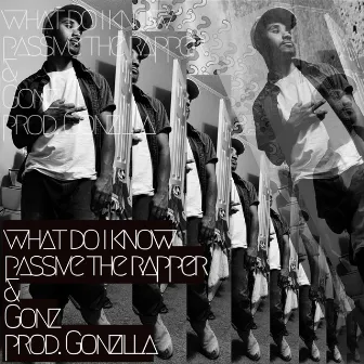 what do i know by passive the rapper